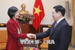 Phó Thủ tướng, Bộ trưởng Bộ Ngoại giao Phạm Bình Minh tiếp Đại sứ Canada